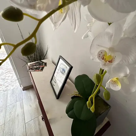 Casa Duran מלון